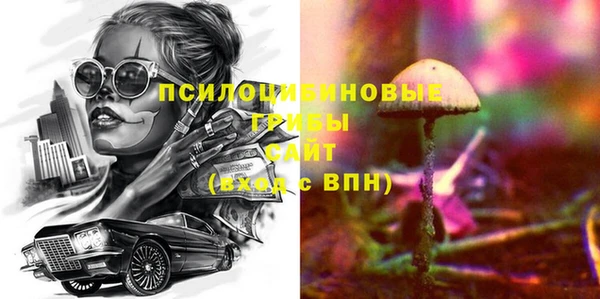 сатива Абаза