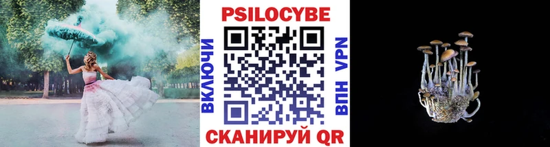 Галлюциногенные грибы Psilocybe  KRAKEN ссылка  Новопавловск 
